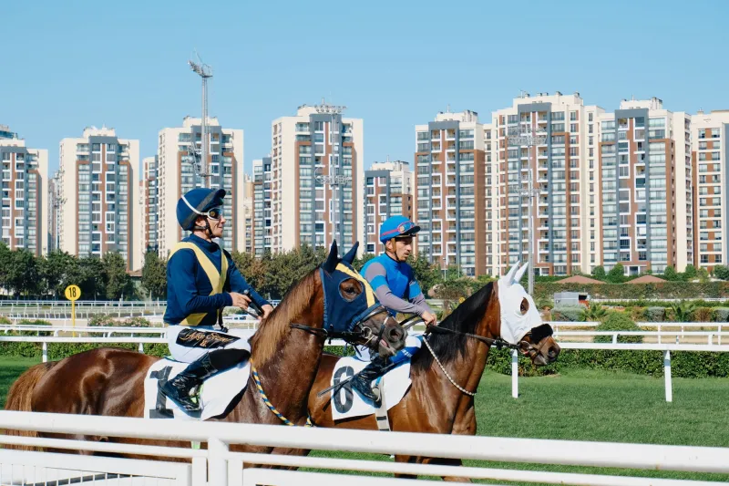 Cold Feet, Hot Losses: Why Punters Blow Their Best Bets in the Final Minutes