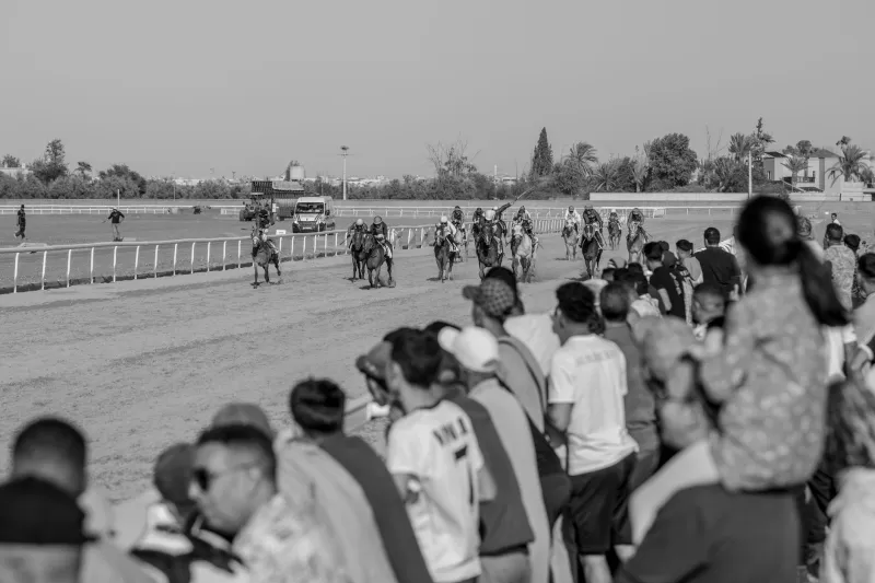 One Bet on the Races? Here's Why That Promise Never Survives Past Race Three